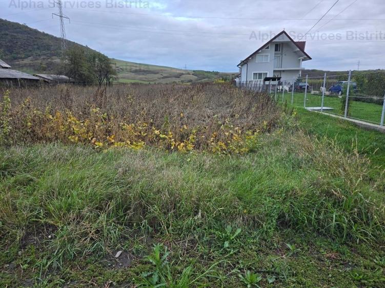 Teren de 3500 mp, în Sărata