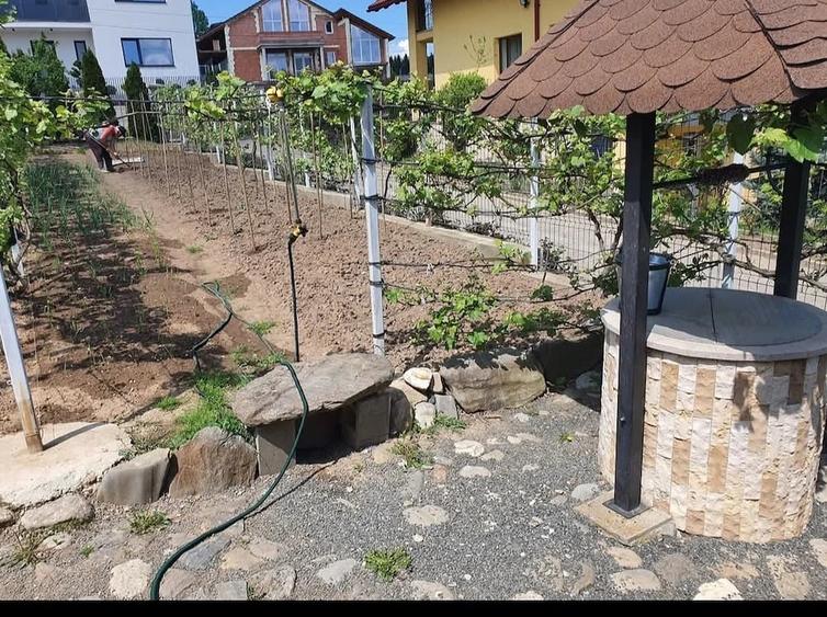 Teren de 634 mp, în Central