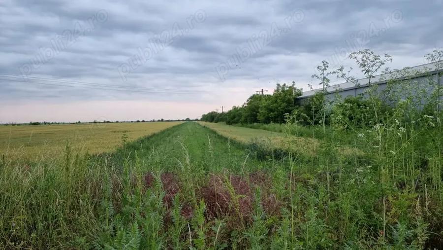 Teren de 4575 mp, în Filipeștii de Târg
