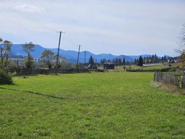 Teren de 5700 mp, în Dorna Candrenilor
