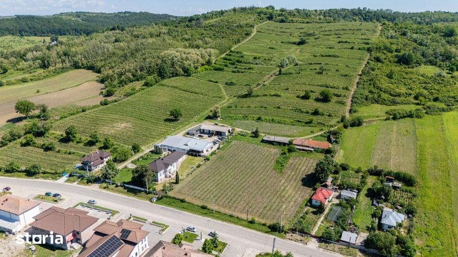 Teren de 600000 mp, în Vâlcea