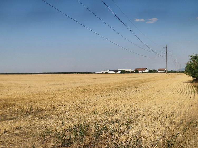 Teren agricol extravilan de 7915 mp, în Horia