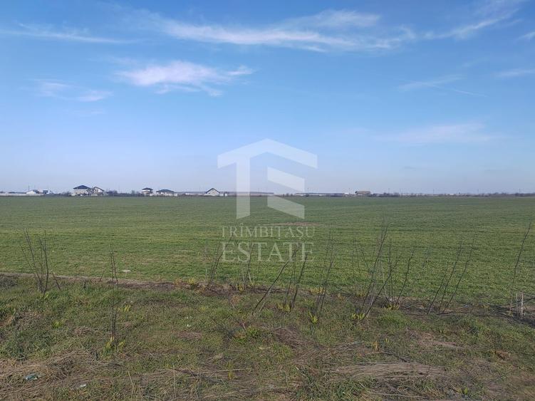 Teren Construcții intravilan de 8650 mp, în Cernica