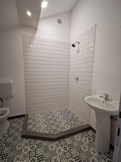 Casă individuală cu 8 camere cu Piscina în Iancu Nicolae