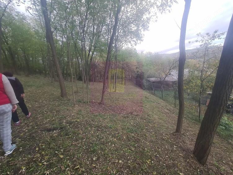 Casă cu 3 camere cu Teren 3410 Mp în Aluniș