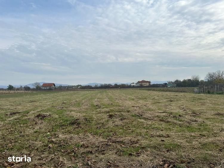 Teren de 2700 mp, în Hărman