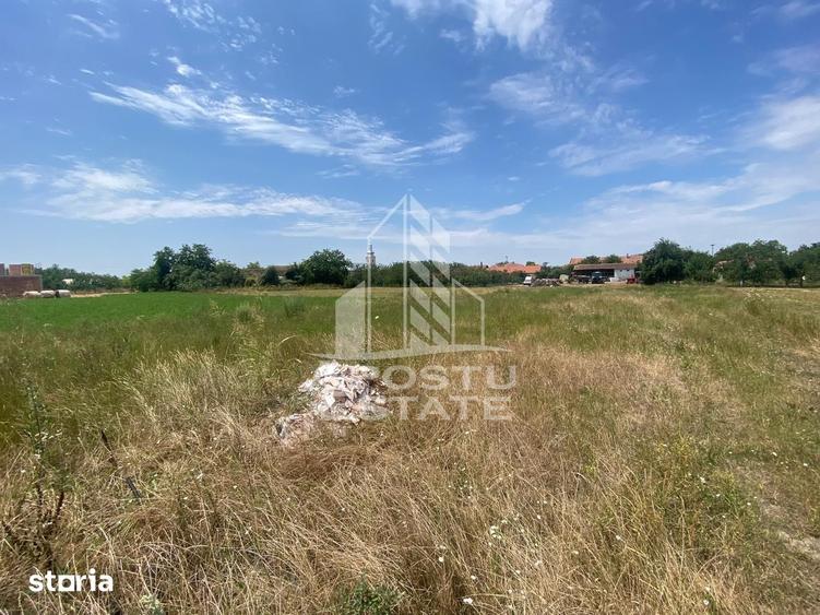 Teren de 1000 mp, în Moșnița Nouă