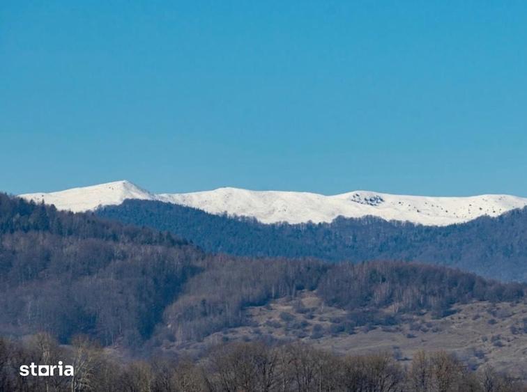 Teren de 40001 mp, în Teișani