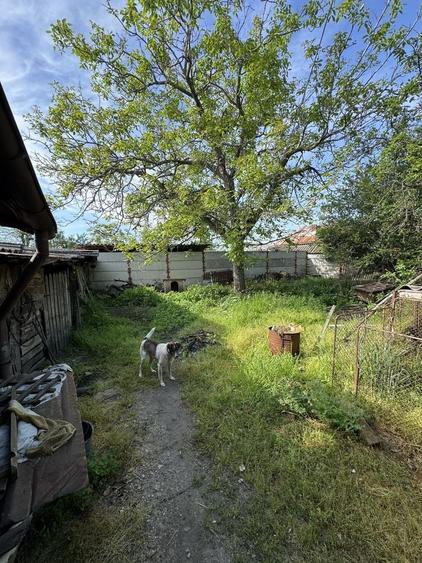 Casă cu 4 camere în Roșiori de Vede