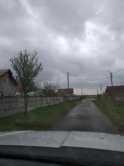 Teren de 11693 mp, în Cornești
