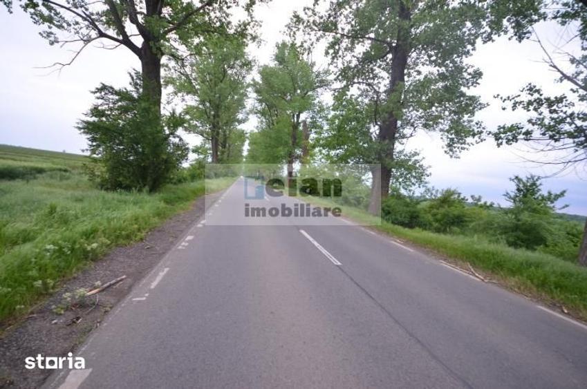 Teren de 70000 mp, în Dascălu