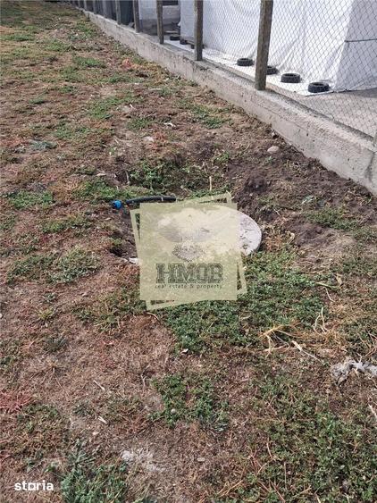 Casă cu 3 camere cu Teren 1850 Mp în Șelimbăr