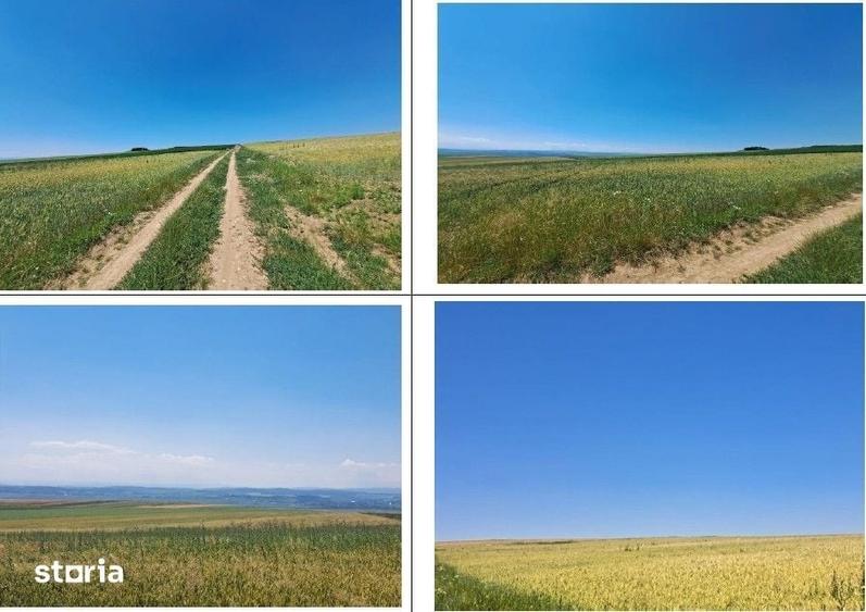 Teren de 4650 mp, în Ciohorăni
