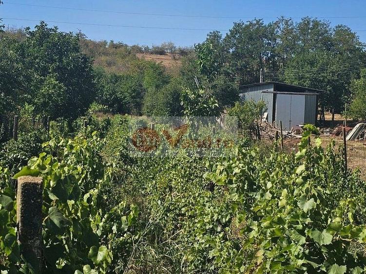 Teren agricol intravilan de 1800 mp, în Fârțănești