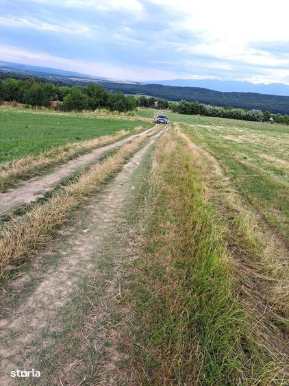 Oportunitate-Teren Extravilan 6200 mp cu vedere Panoramica-Tropinii No - 8