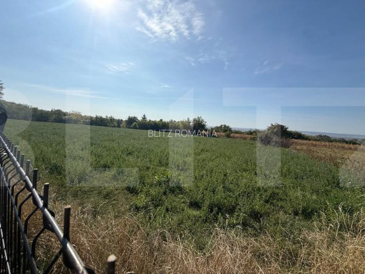 Teren intravilan, 3600 mp, zona Calinesti - Bucecea