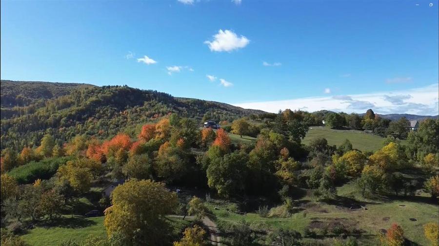Teren Construcții intravilan de 3500 mp, în Cacica