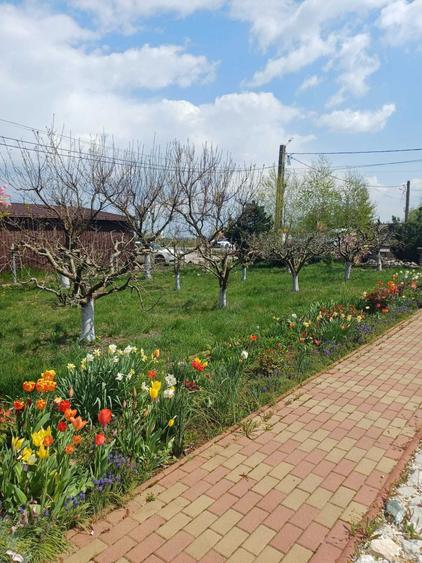 Casă cu 3 camere în Mărginenii de Sus