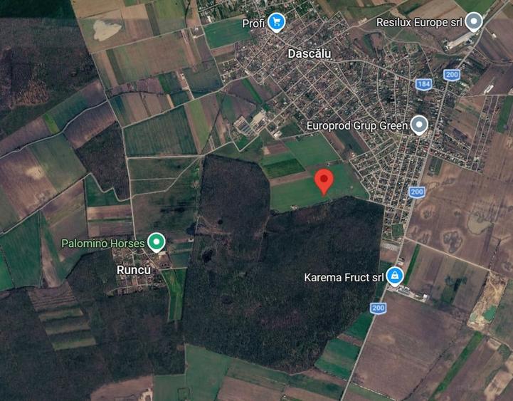 Teren Construcții intravilan de 500 mp, în Dascălu