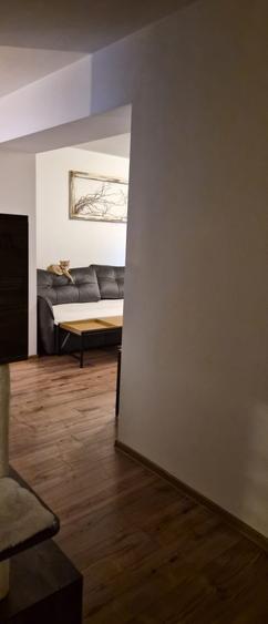 Apartament cu 2 camere decomandat în Runcu