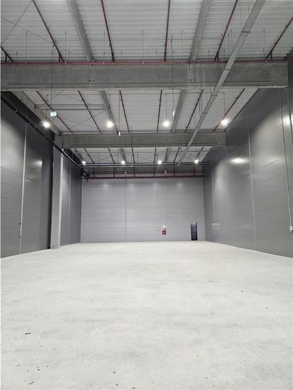 Spatii Industriale - 7000 mp - Logistica - Productie - Depozitare - 2
