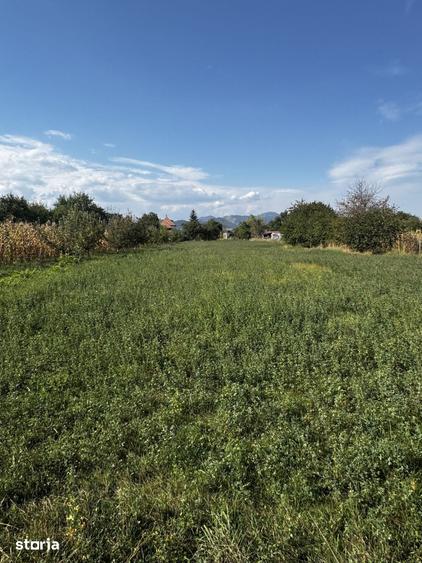 Teren de 3600 mp, în Pârgărești
