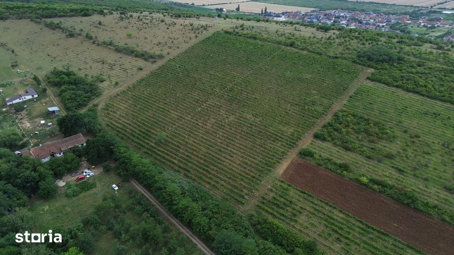 Casă cu 7 camere cu Teren 90000 Mp în Central