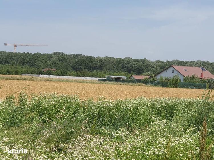 Teren Balotesti,langa padure,case construite pe strada, 61000 euro - 8