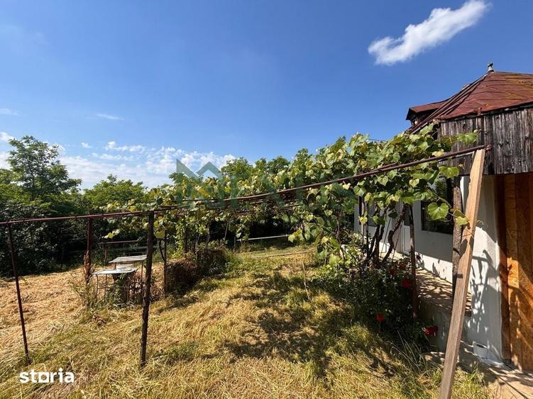 Casă cu 2 camere cu Teren 3200 Mp în Traian