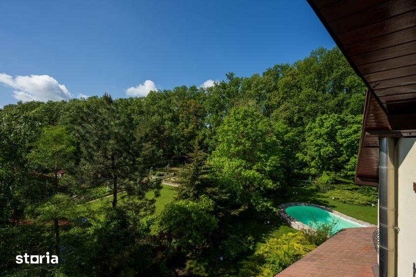 PARADISUL VERDE - VILA CONTEMPORANA 420 MPU, LOT 2100 MP, PADURE PRIVA - 12