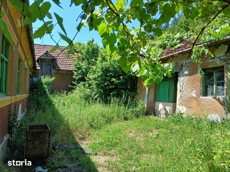 Casă cu 6 camere cu Teren 4800 Mp în Bârzava