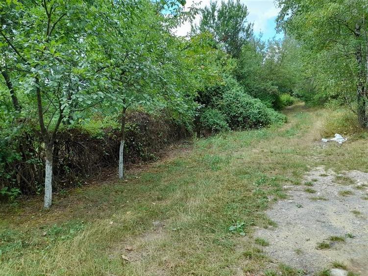 Teren Construcții intravilan de 5561 mp, în Calea Caransebeșului