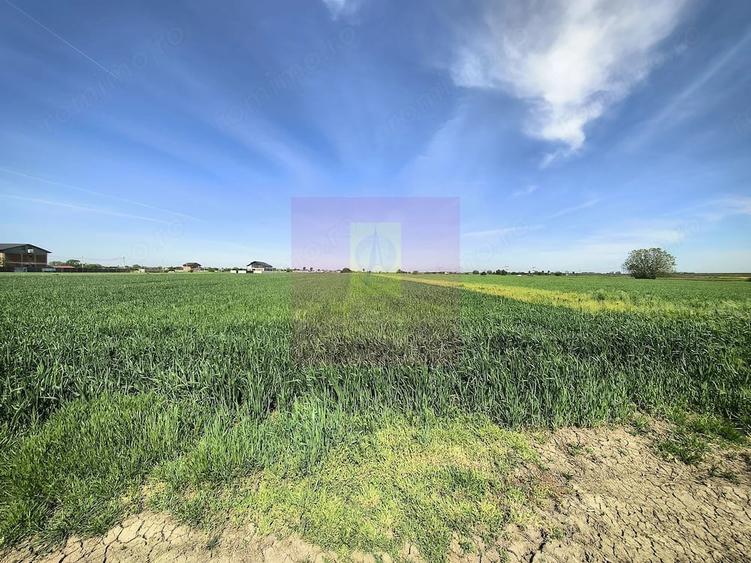 Teren de 2200 mp, în Dărăști-Ilfov