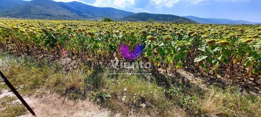 Teren agricol extravilan de 900 mp, în Poplaca