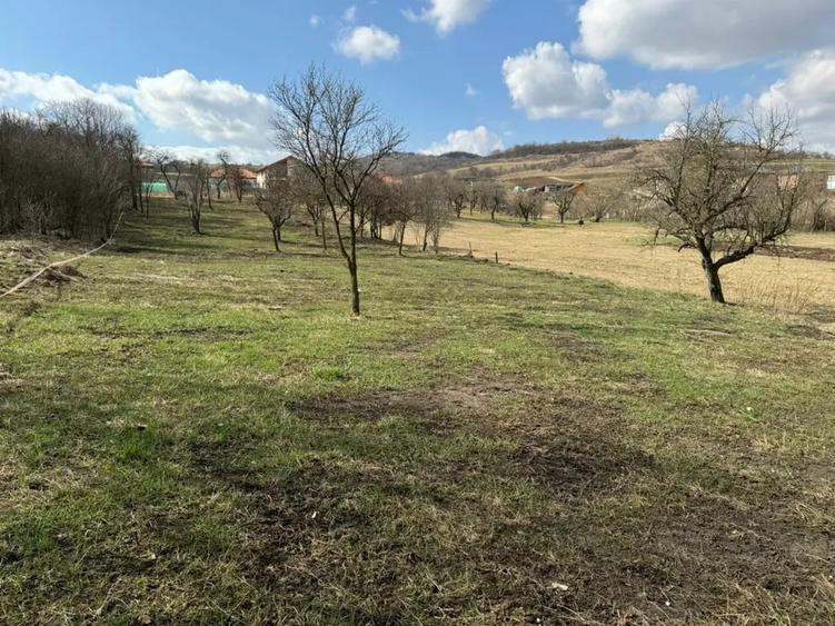 Teren de vanzare Sat Corusu, comuna Baciu 3484mp - 2