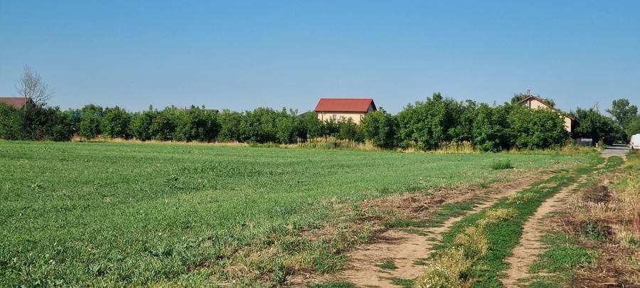 Teren Construcții intravilan de 2000 mp, în Ciorogârla