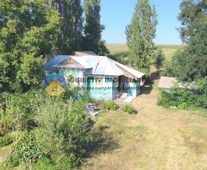 Casă individuală cu 2 camere cu Teren 4500 Mp în Dragomirești