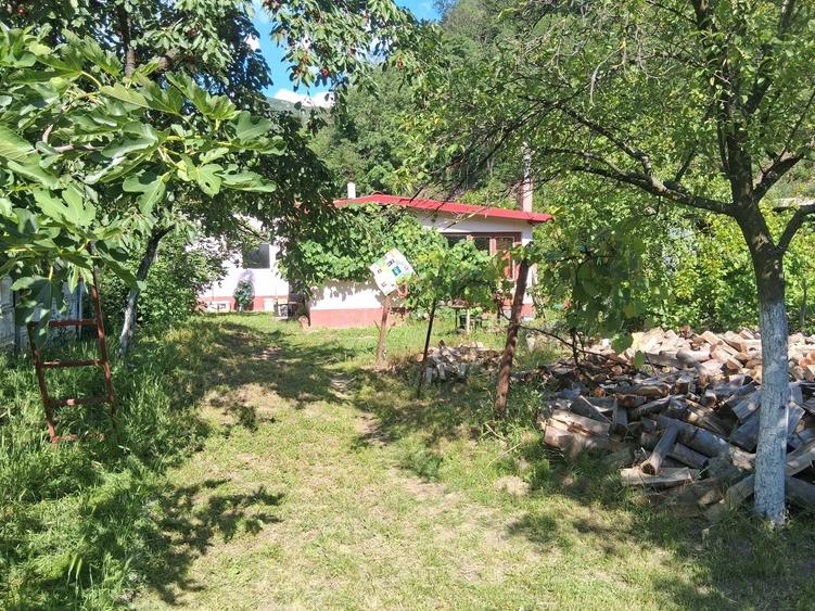 Casă cu 4 camere în Pecinișca