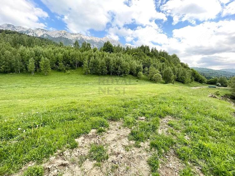 Teren de 12150 mp, în Plaiul Foii