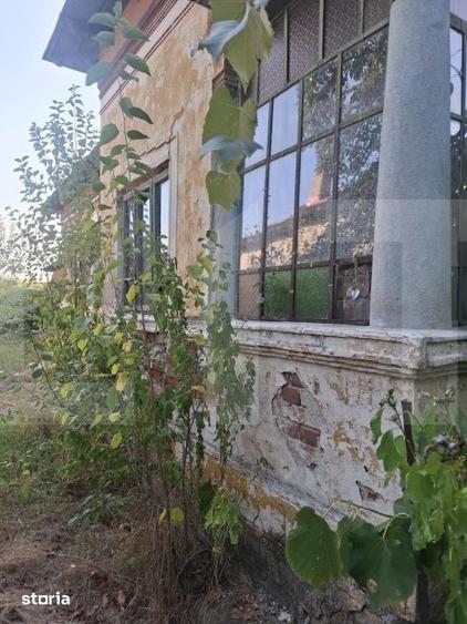 Casă cu Teren 5038 Mp în Pleșoiu