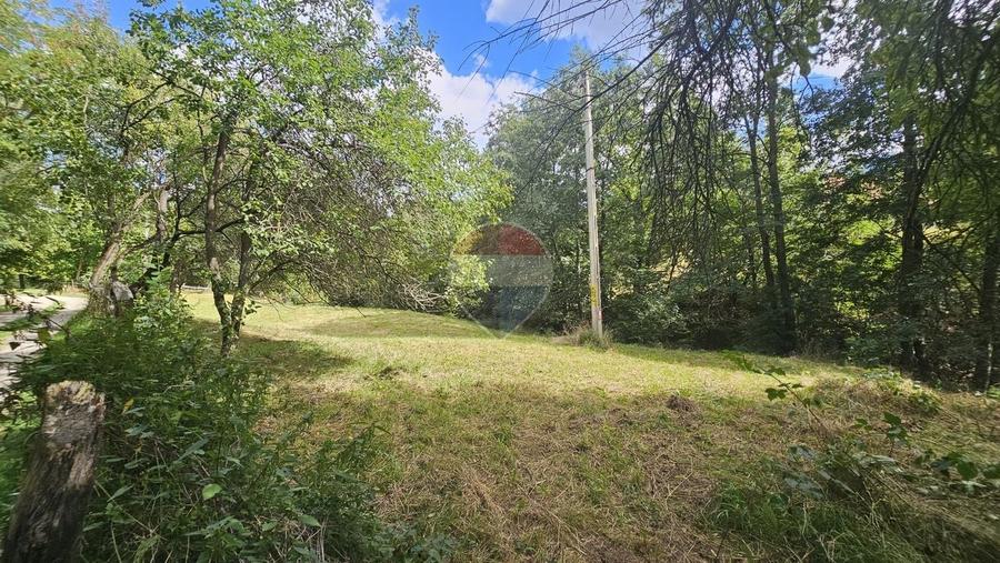 Casă individuală cu 4 camere cu Teren 4840 Mp în Sohodol