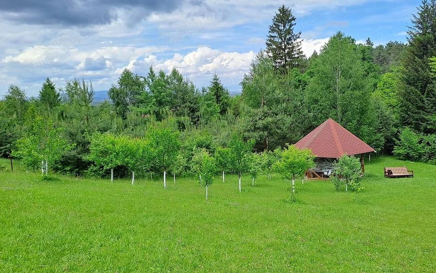 Teren de 2000 mp, în Central