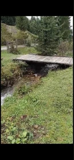 Teren Construcții intravilan de 12000 mp, în Ortoaia
