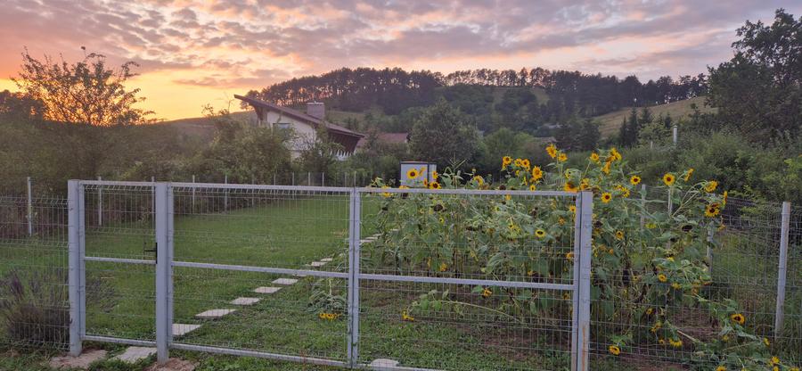 Teren Construcții intravilan de 1019 mp, în Sânpetru