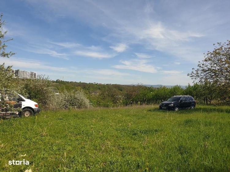 Teren intravilan IASI - COPOU - VITICULTORI - in vecinatatea padurii - 11