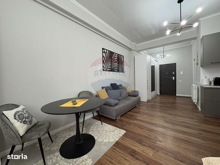 Apartament in zona Hanul cu Pe?te - ?tefan Building Lake II - 13