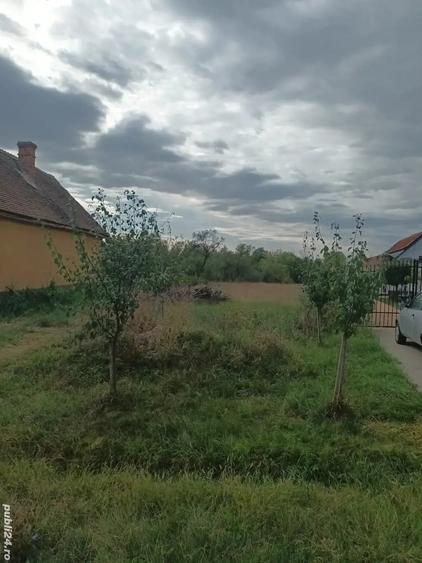 Teren de 1500 mp, în Petrovaselo