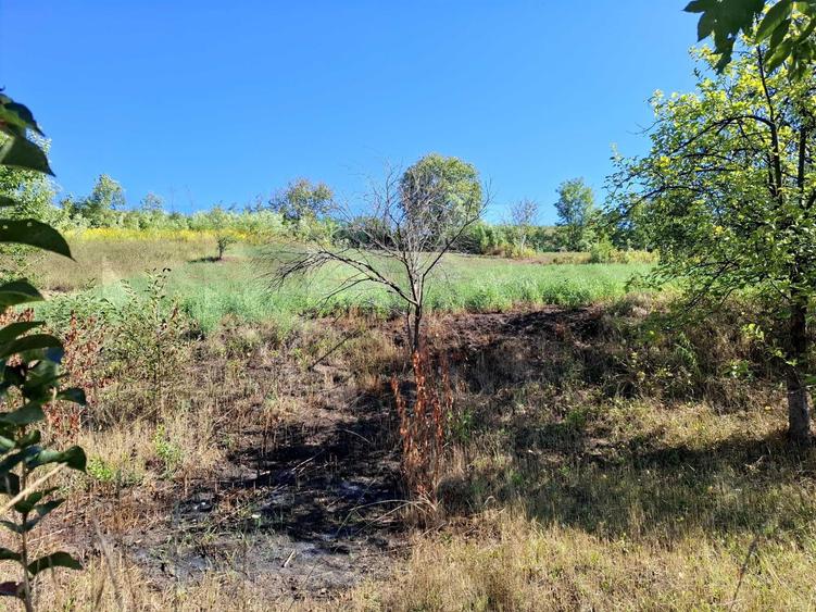 Casă cu 2 camere în Buzd
