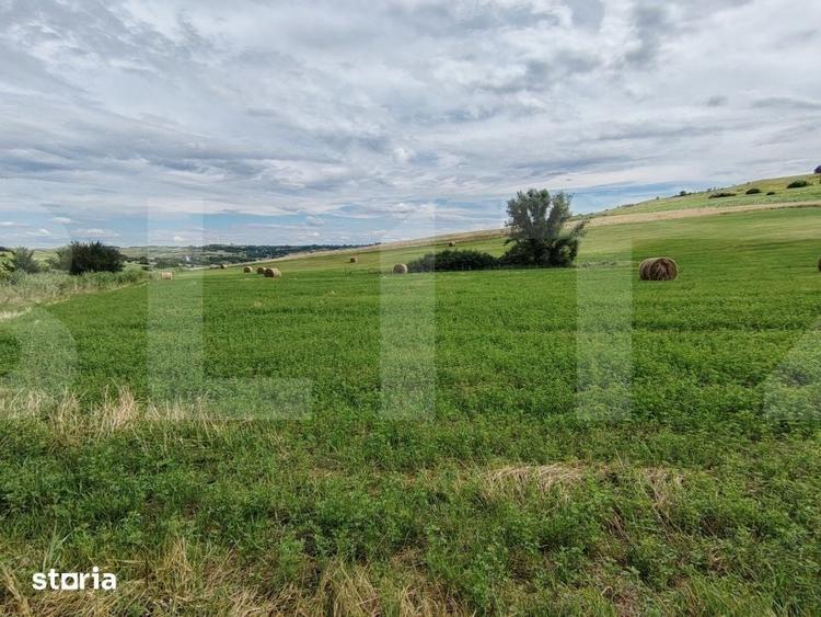 Teren de 22000 mp, în Central
