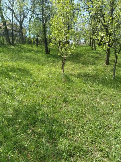 Teren de 2500 mp, în Pietriceaua